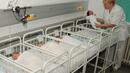 5.2-килограмово бебе проплака във Варна