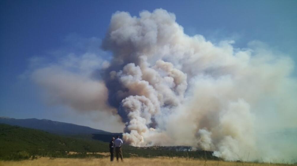 Пожар на широк фронт вилнее между симитлийското село Мечкул и