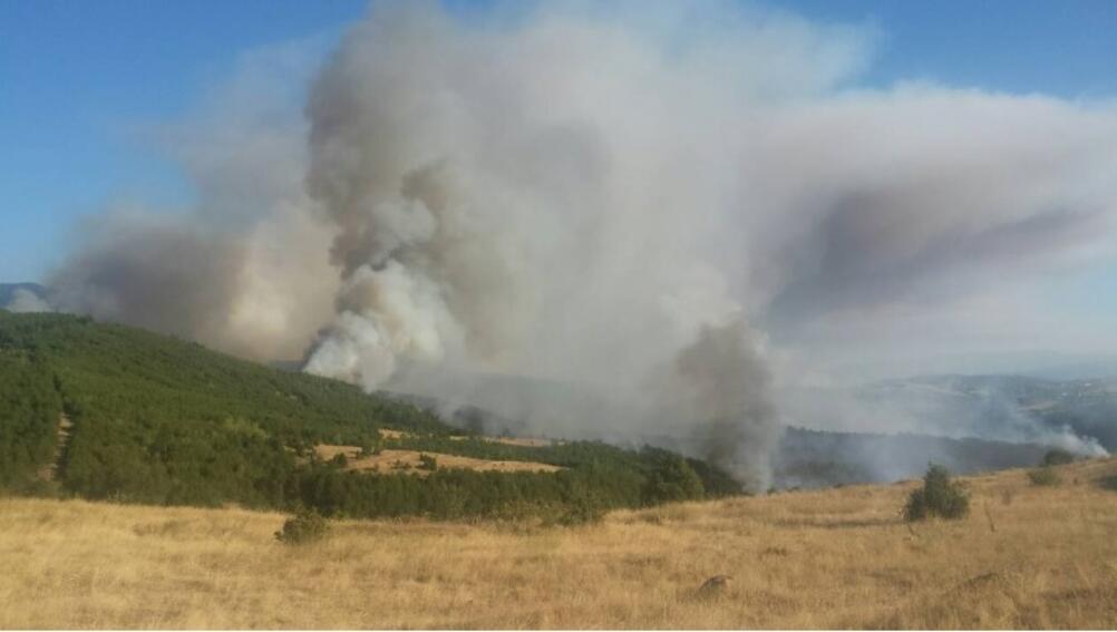 Пожар пламна и край Сливен Пламъците са се разгорели сутринта