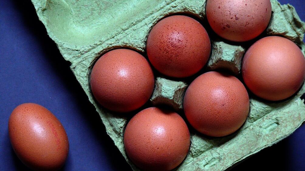 Държавата започва масирани проверки за отровни яйца или яйчени продукти