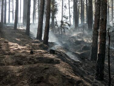 Валентин Радев: Огнената стихия в Пирин е потушена