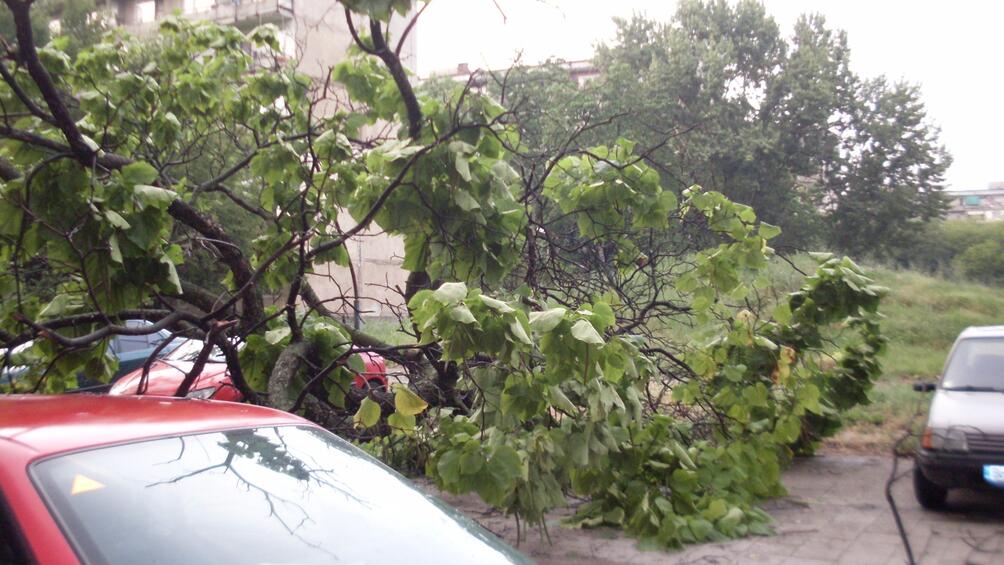 Гръмотевици ураганен вятър и проливен дъжд се изсипаха над Враца