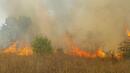 Борбата с пламъците в Ямболско продължава