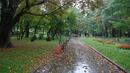 Есента се връща с облачно време и дъжд