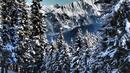 Серия от лавини убиха трима души в швейцарските Алпи
