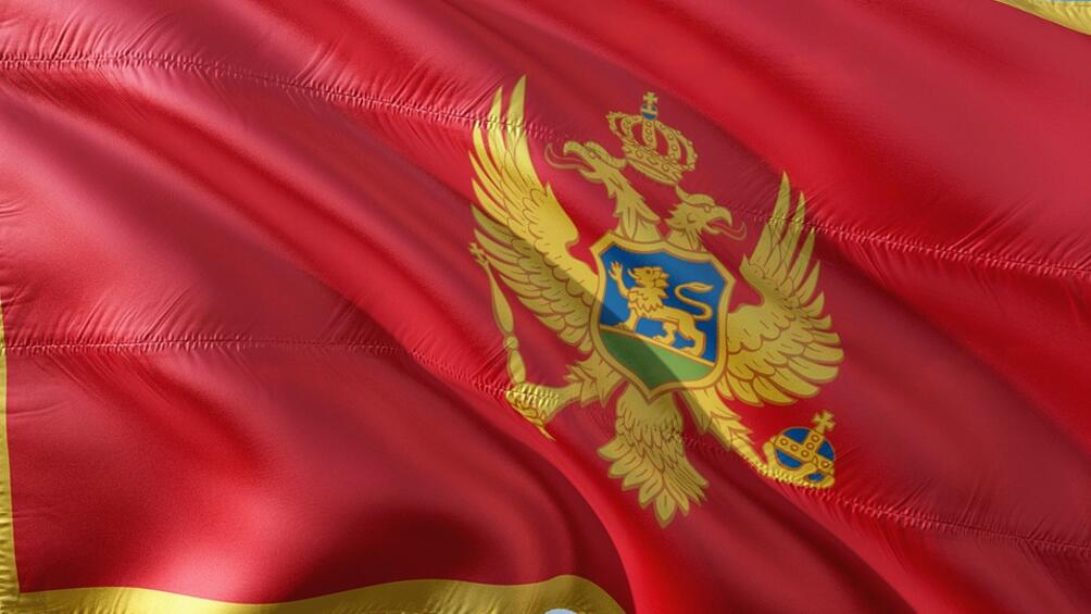 Черногорският гражданин Александър Синджелич призна пред съда в Подгорица че