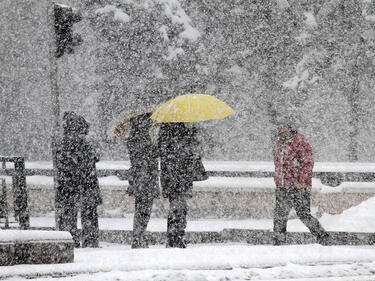Валежи от сняг в цяла България, довечера ще се усилят