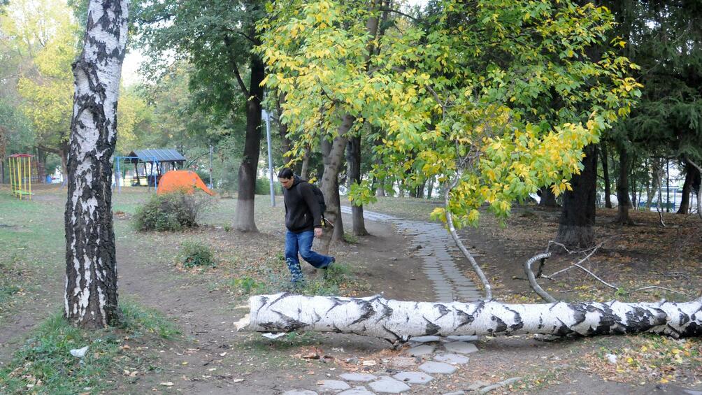 Шест екипа на дирекция Аварийна помощ и превенция са отреагирали