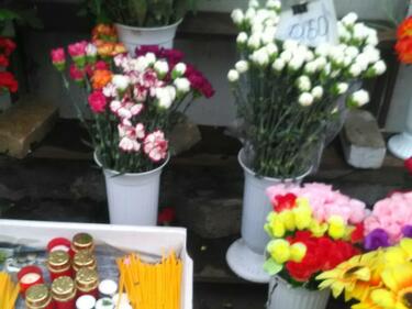 По пролетните празници избягвайте покупка на цветя и клонки от нерегламентирани търговци