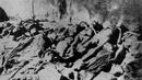 Арменският геноцид бил извършен с германски оръжия
