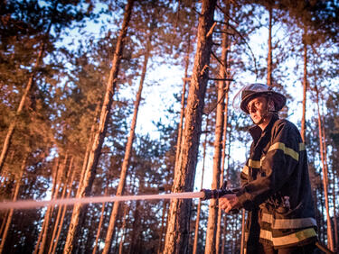 Започва информационна кампания за превенция на горските пожари