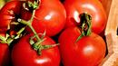 По-скъпи домати и праскови през август
