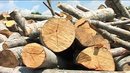 Дъждовното лято ни носи и криза с дървата за огрев