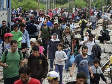 Кризисна ситуация - ако 250 мигранти влизат у нас дневно