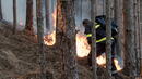 Горски пожари бушуват в Испания

