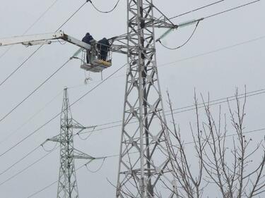 20 000 останаха без ток след скъсани кабели от пандало дърво