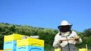Пчелари се заканиха да блокират главния път Плевен - София