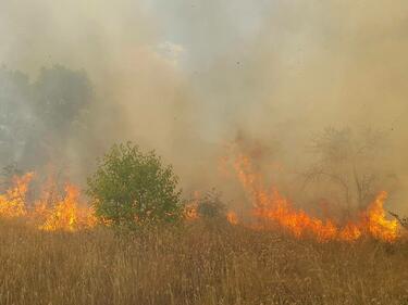 Огнена стихия изпепели 2 вили в Софийско, пращат хеликоптер да гаси