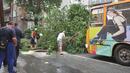 Градски автобус в Пловдив се удари в дърво