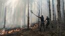 Пожарникари, горски и доброволци се пребориха с пламъците над Чипровци