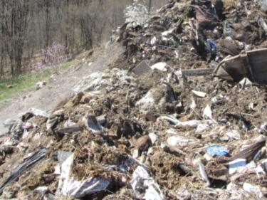 Италианските отпадъци в бургаското пристанище не са опасни или токсични
