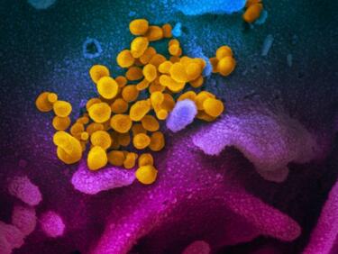 Първи смъртен случай от коронавирус в Испания
