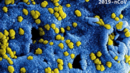 Учени: Най-много се пазете от коронавируса при 4 градуса
