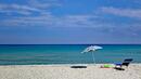 Вижте кои плажове на Черноморието ще са с безплатни чадъри и шезлонги
