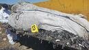 До над 120 тона стигнаха изровените незаконни отпадъци при Червен бряг