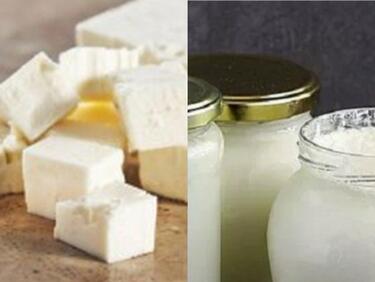 Според нова наредба: Киселото мляко, сиренето и кашкавалът в училищата - само по БДС