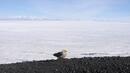 Планините на Антарктида растат