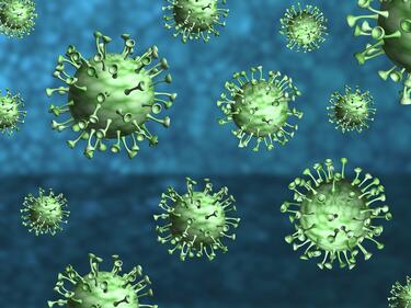 Още по-нов щам на коронавируса открит в Ню Йорк