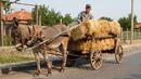 Известни актьори популяризират програмата за селските региони