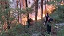 Горски пожар бушува между селата Фролош и Ваксево в Кюстендилско