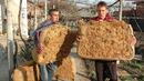Сушата съсипва тютюневата реколта в Неврокопския край 