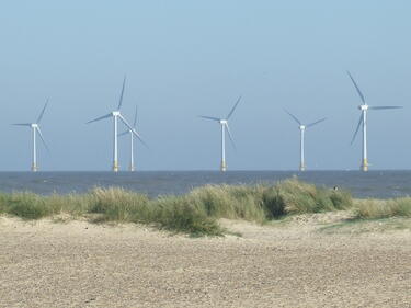 Вятърните турбини може да са полезни за морския живот