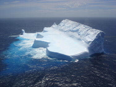 Цунамито в Япония откъсна айсберги от Антарктида