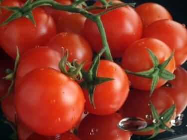 Червеният цвят в доматите ни пази от диабет