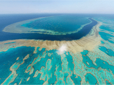 Австралия отделя колосална сума за защита на Големия бариерен риф
