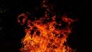 Пожар над ВЕЦ-а в Карлово, огнеборци и горски се бият с пламъците
 