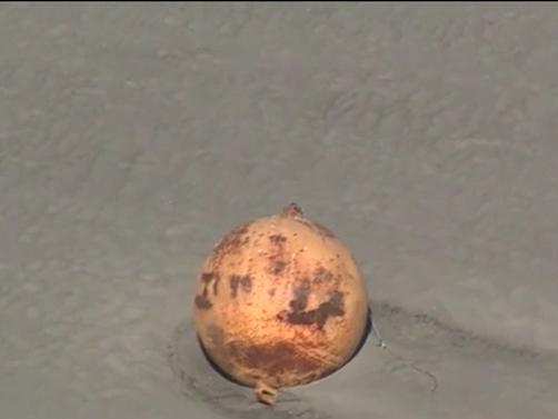 Голяма метална сфера изхвърлена на бряг в Япония озадачи местните