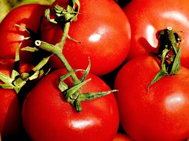 Цената на доматите у нас скача заради забраната на Турция за износ