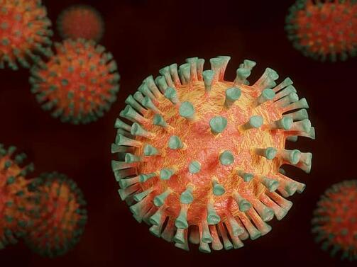 Петнайсет нови случая на коронавирус са били регистрирани през последното