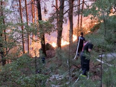Пожар гори между бургаския квартал "Рудник" и село Изворище
