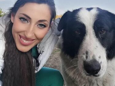 Ветеринарката Дани и майка й платили с живота си, защото опитали да помогнат на бедстващи животни