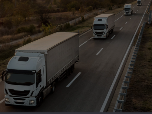 Развръзка  десетките български камиони натоварени със стока за Австрия