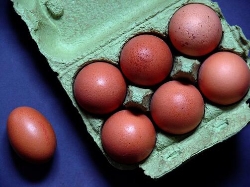 Съхраняването на яйцата в хладилника наистина е по препоръчително отколкото на