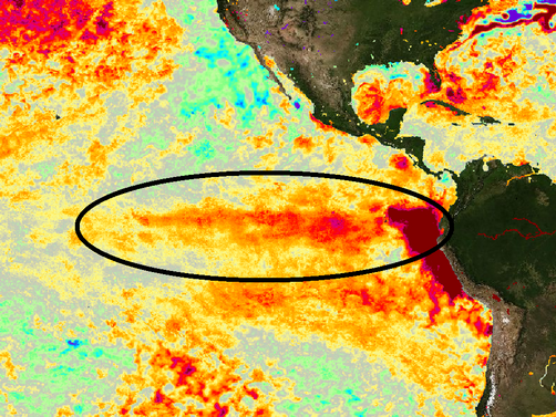 Метеорологичното явление Ел Ниньо, което се наблюдава от миналата година,