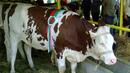 До 2014 г. - краен срок за преструктуриране на млечните ферми у нас
