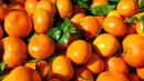 Спад на цените на цитрусовите плодове по борсите
